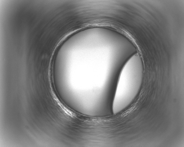 X0000068820803200605050941