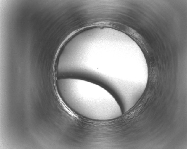 X0000068820808200605050941