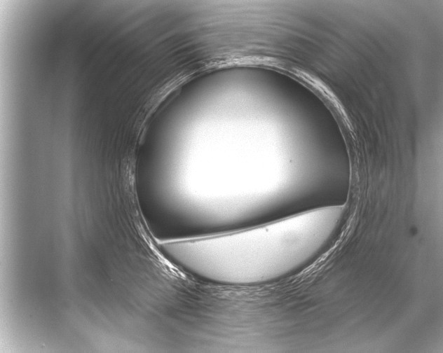X0000068820809200605050941