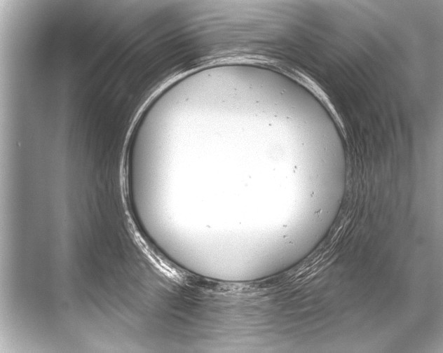 X0000068820811200605050941