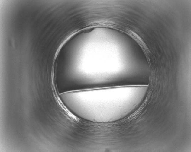 X0000068820812200605050941