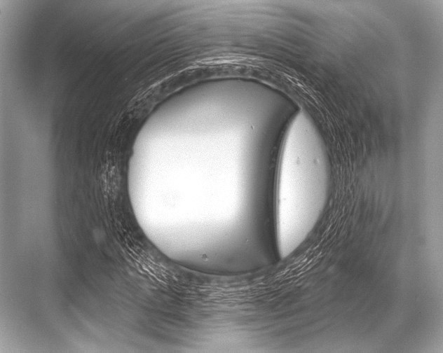X0000068820821200605050940