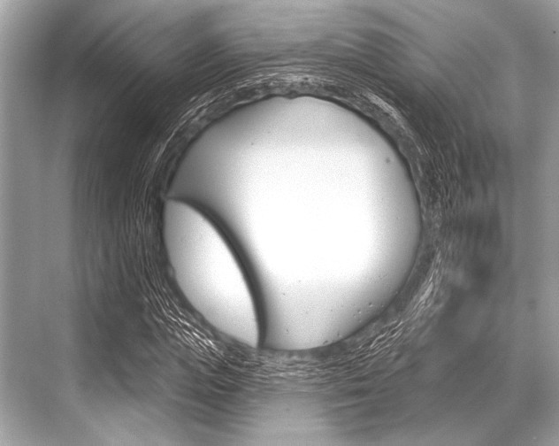 X0000068820823200605050940