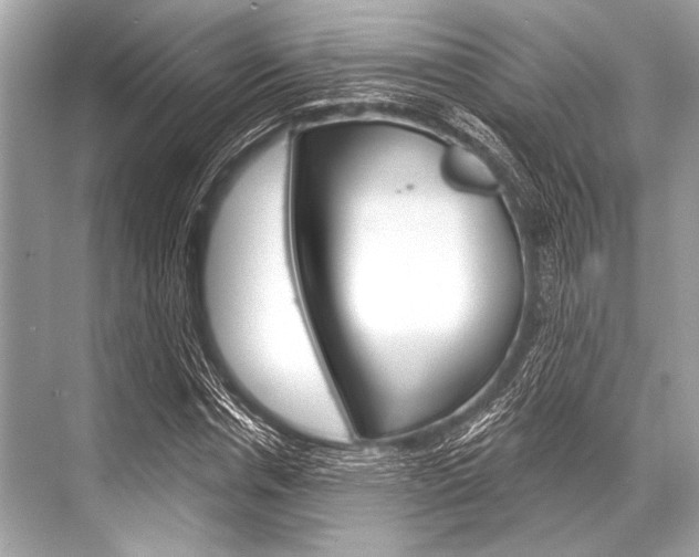 X0000068820826200605050940