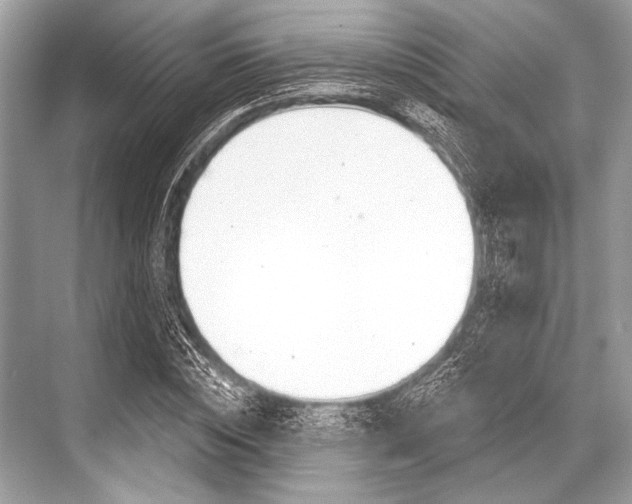 X0000068820828200605050940