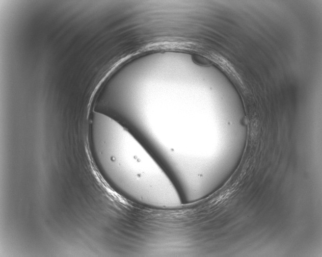 X0000068820844200605050940