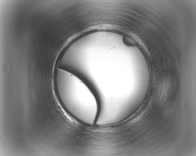 X0000068820845200605050940