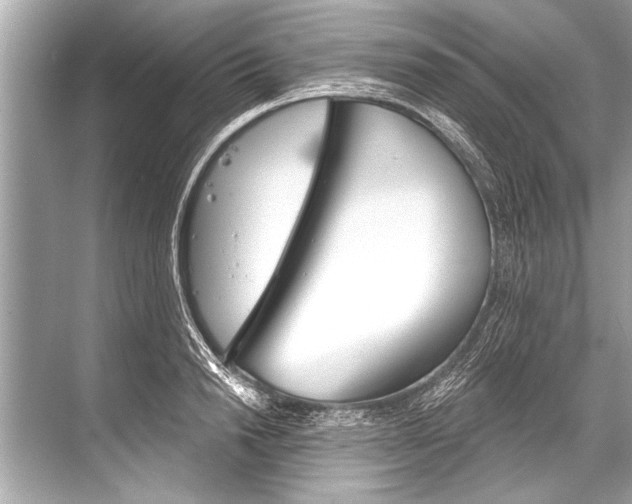 X0000068820846200605050940