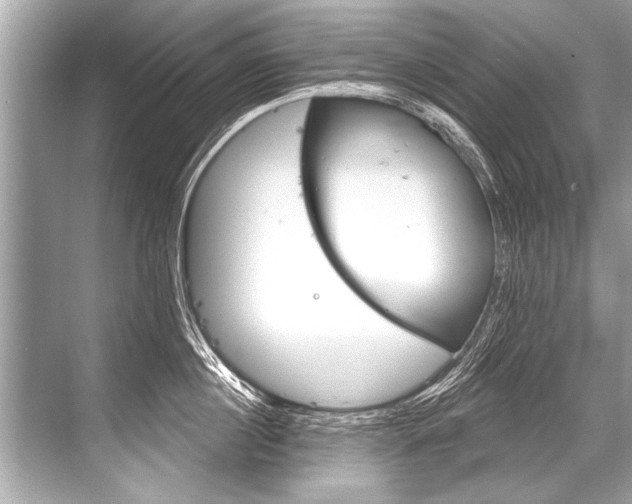 X0000068820860200605050940