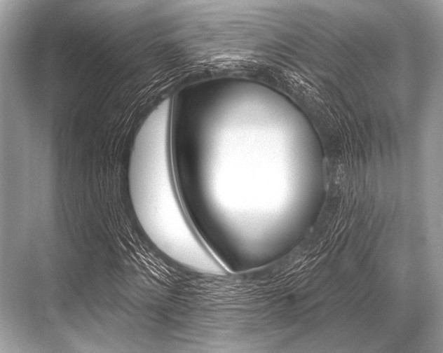 X0000068820868200605050940