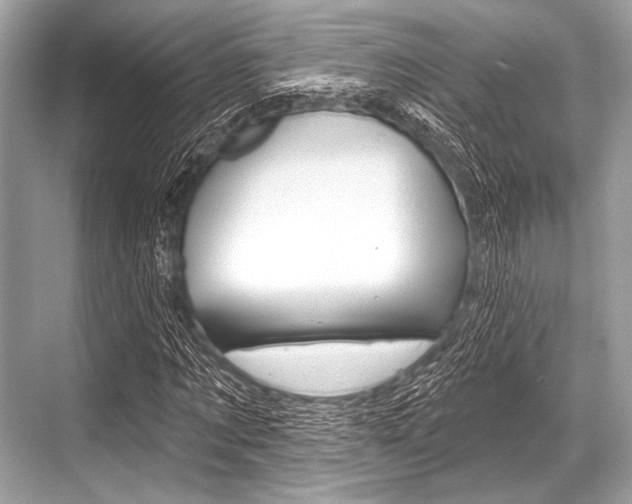 X0000068820869200605050940