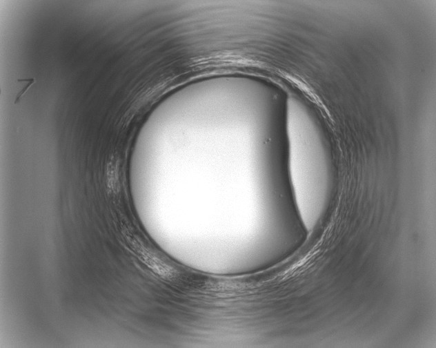 X0000068820873200605050940