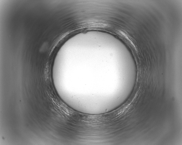 X0000068820875200605050939