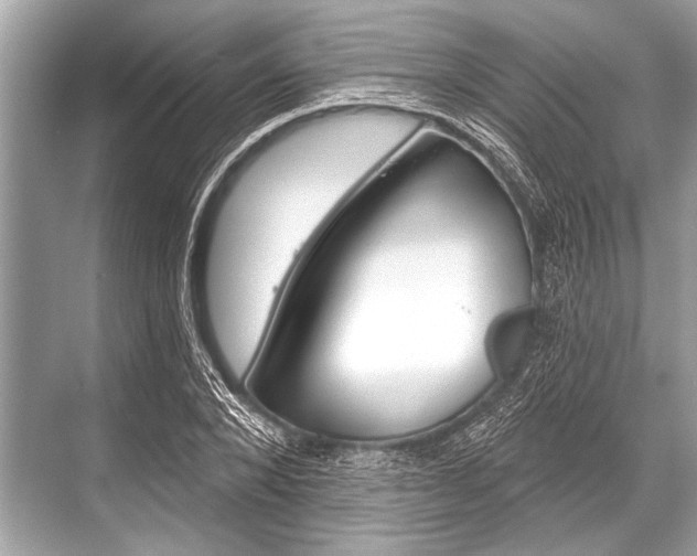 X0000068820880200605050939