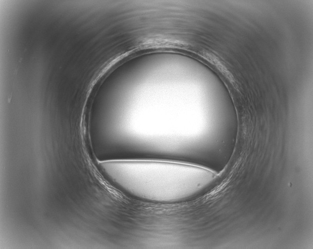 X0000068820885200605050939