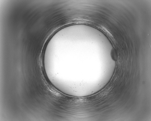 X0000068820891200605050939
