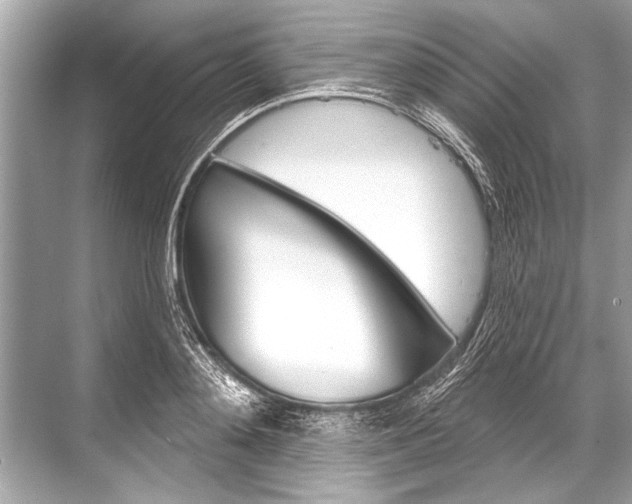 X0000068820892200605050939
