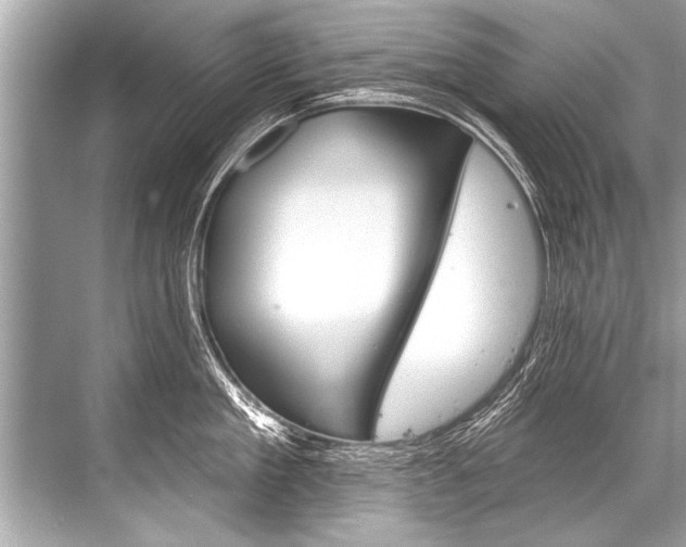X0000068820909200605050939