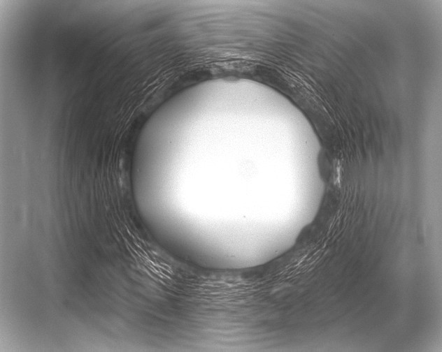 X0000068820915200605050938