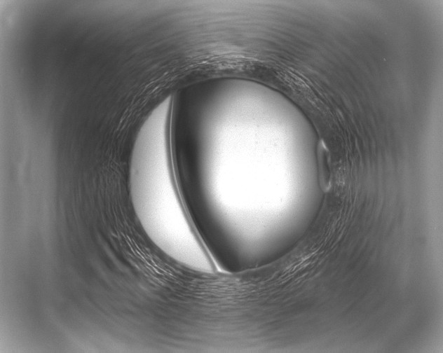 X0000068820916200605050938