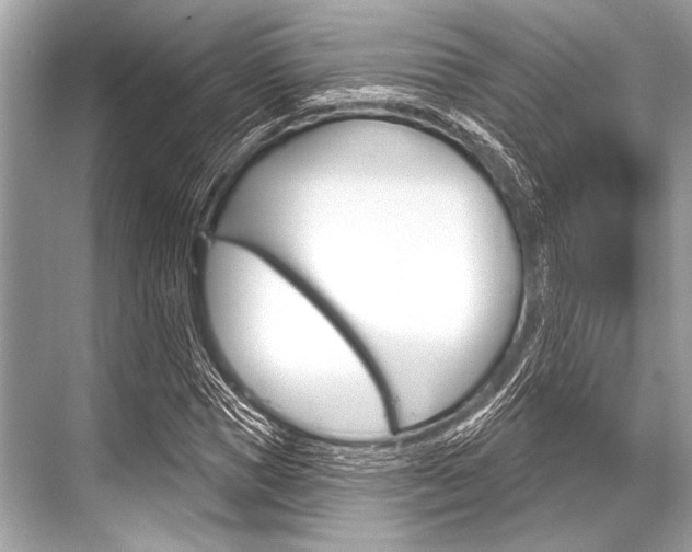 X0000068820921200605050938