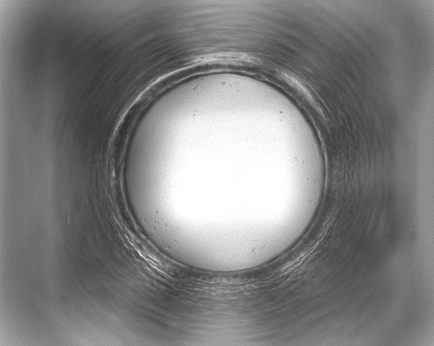 X0000068820923200605050938