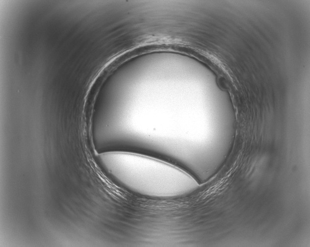 X0000068820927200605050938