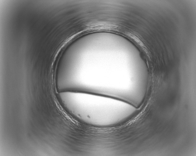 X0000068820933200605050938