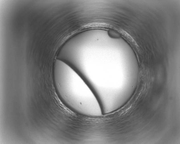 X0000068820937200605050938