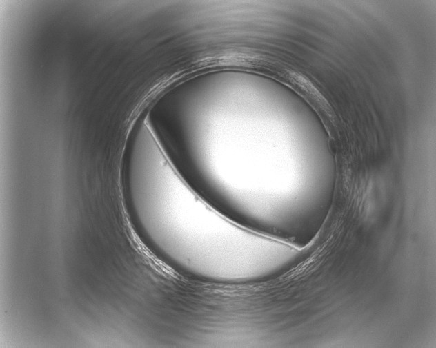 X0000068820938200605050938