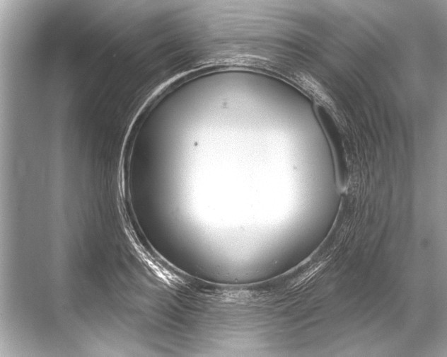 X0000068820940200605050939
