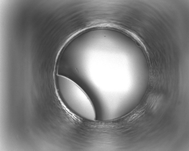 X0000068820951200605050939