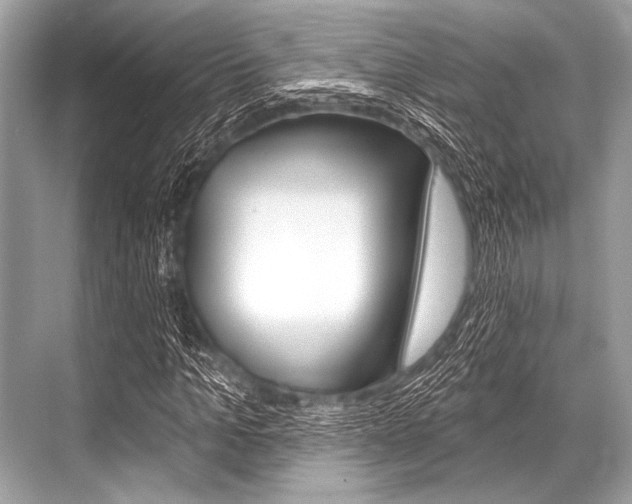 X0000068820965200605050938