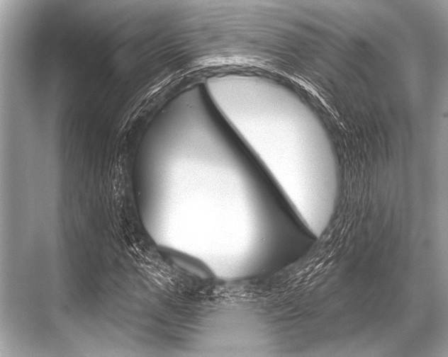 X0000068820967200605050938