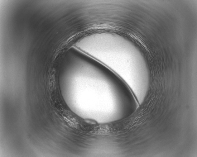 X0000068820968200605050938