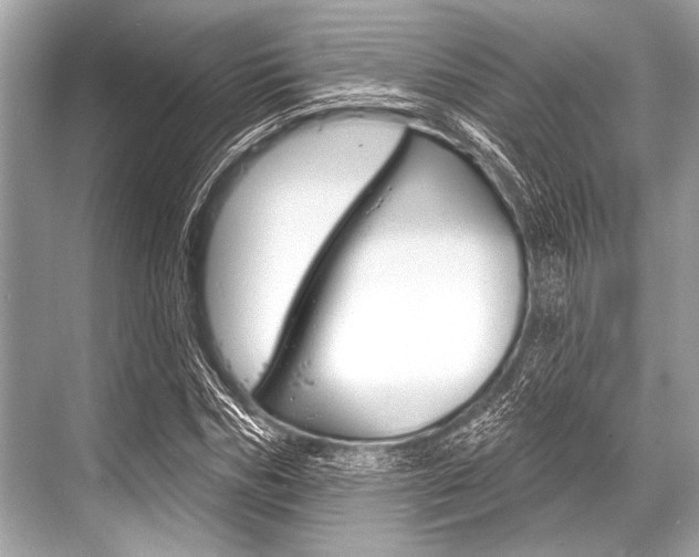 X0000068820970200605050938