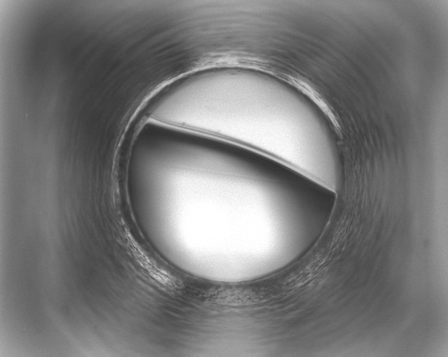 X0000068820972200605050938