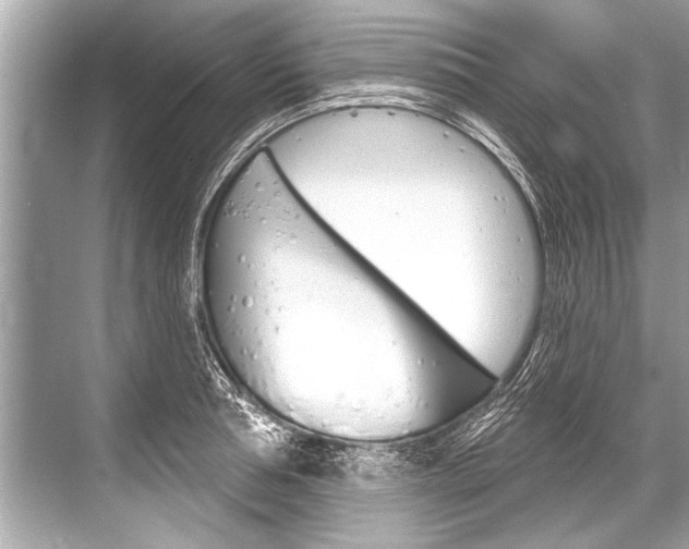X0000068820994200605050938