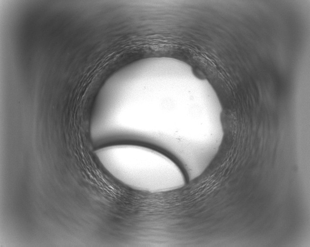 X0000068821009200605050936