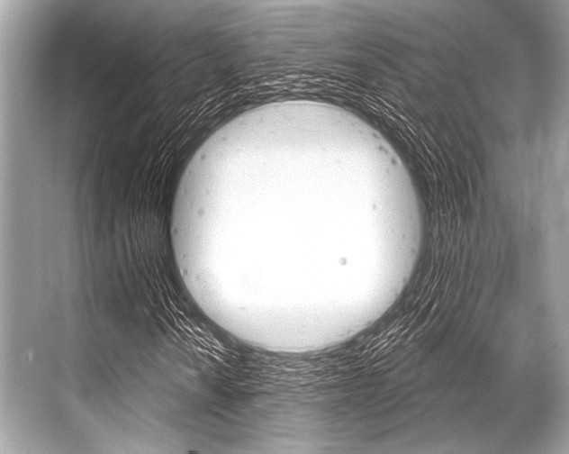 X0000068821010200605050936