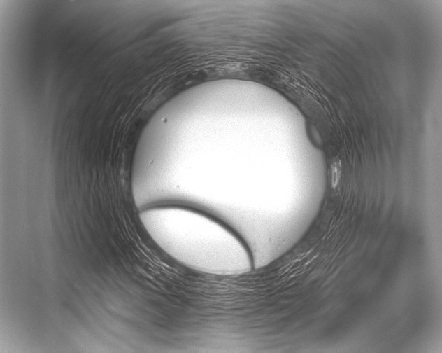 X0000068821011200605050937