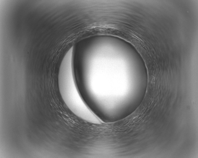 X0000068821014200605050937