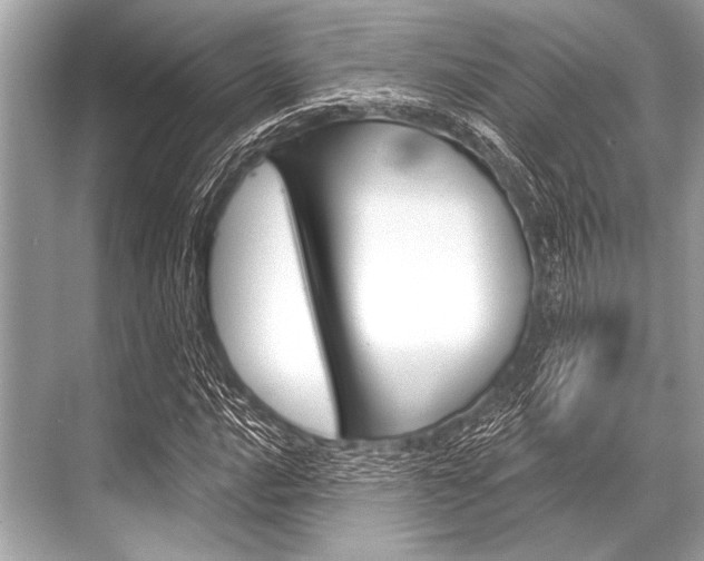 X0000068821016200605050937