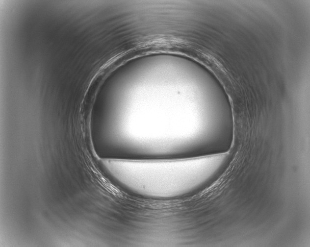X0000068821018200605050937