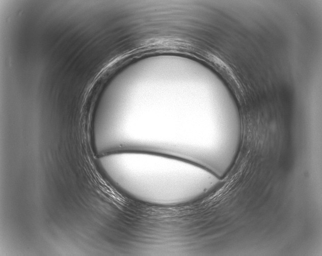 X0000068821019200605050937