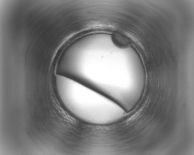 X0000068821021200605050937