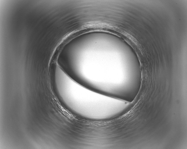 X0000068821022200605050937