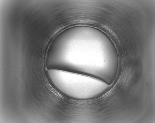 X0000068821025200605050937
