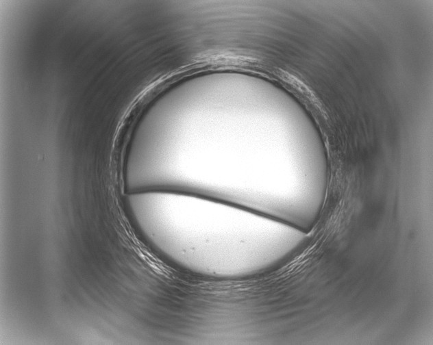 X0000068821027200605050937