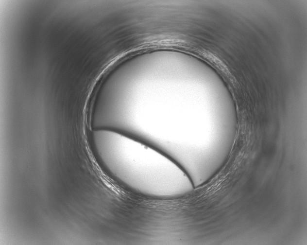 X0000068821031200605050937